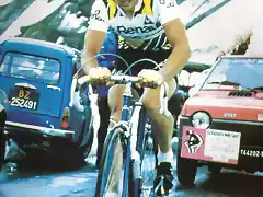 HINAULT GIRO 1980