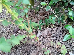 IMG_20200518_203631