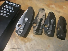 P5100207 P5100207