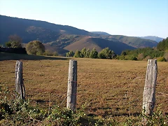 DSCN7937 DSCN7937