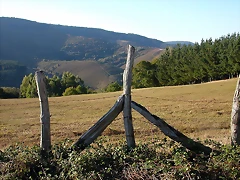 DSCN7929 DSCN7929