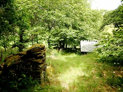 DSCN4349 DSCN4349