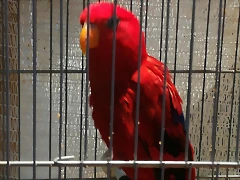 IMG_20170122_121106 IMG_20170122_121106