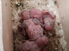 20190622_170226 20190622_170226