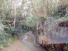 IMG-20180728-WA0002 IMG-20180728-WA0002