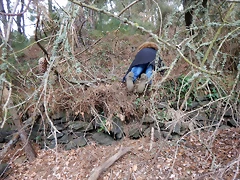 DSCN1335 DSCN1335