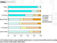 masa forestal Galicia