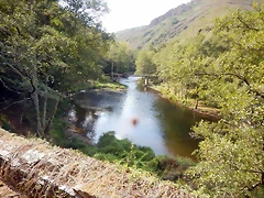 DSCN7158 DSCN7158