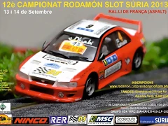 RALLI  FRAN?A 2013