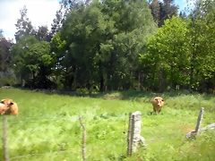 DSCN5364 DSCN5364