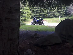 44