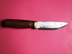 DSCF1670 DSCF1670