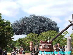 DSCF3147