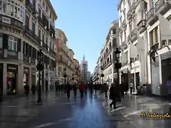 015, calle Larios, marca