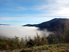 DSCN0014 DSCN0014