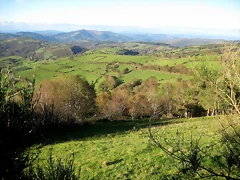 IMG_0948