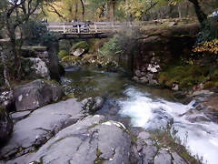 DSCN1674 DSCN1674