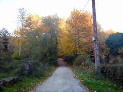 DSCN8993 DSCN8993