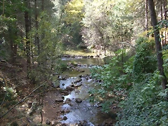 DSCF2075 DSCF2075