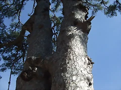 DSCF2074 DSCF2074