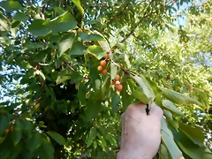 DSCN2340 DSCN2340