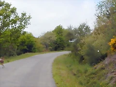DSCN0626. DSCN0626.