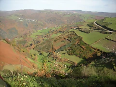 DSCN0550 DSCN0550