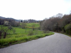 DSCN3486