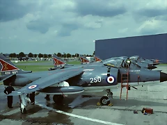 British_Aerospace_Sea_Harrier_FRS1,_UK_-_Navy_AN0769319