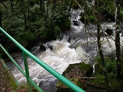 DSCN5755 DSCN5755