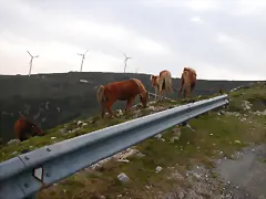 reglaje 034 reglaje 034