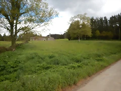DSCN9311