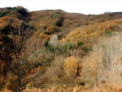 DSCN2130 DSCN2130