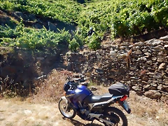DSCN4140 DSCN4140