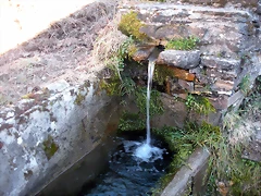 DSCN2929