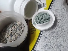 f06 f06
