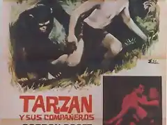 tarzancompanerossp