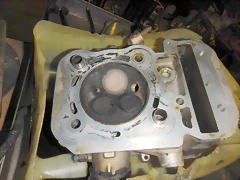 DSCN1426 DSCN1426
