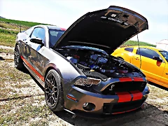 P3230714 P3230714