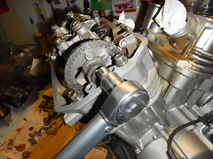 DSCN2351 DSCN2351