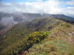 DSCN6343 DSCN6343