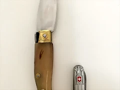 44