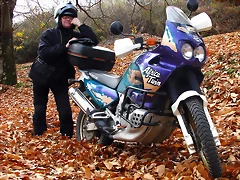 IMG_3533 IMG_3533