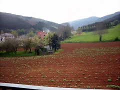 DSCN4118 DSCN4118