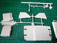 DSCN4725