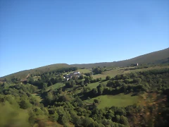 IMG_1019 IMG_1019