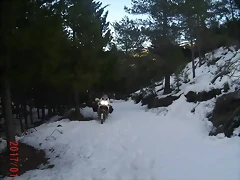 16298718_205637129905777_2443151532290660488_n