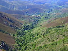 81-Imagen 039