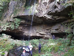 DSCN0421 DSCN0421