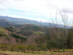 DSCN7875